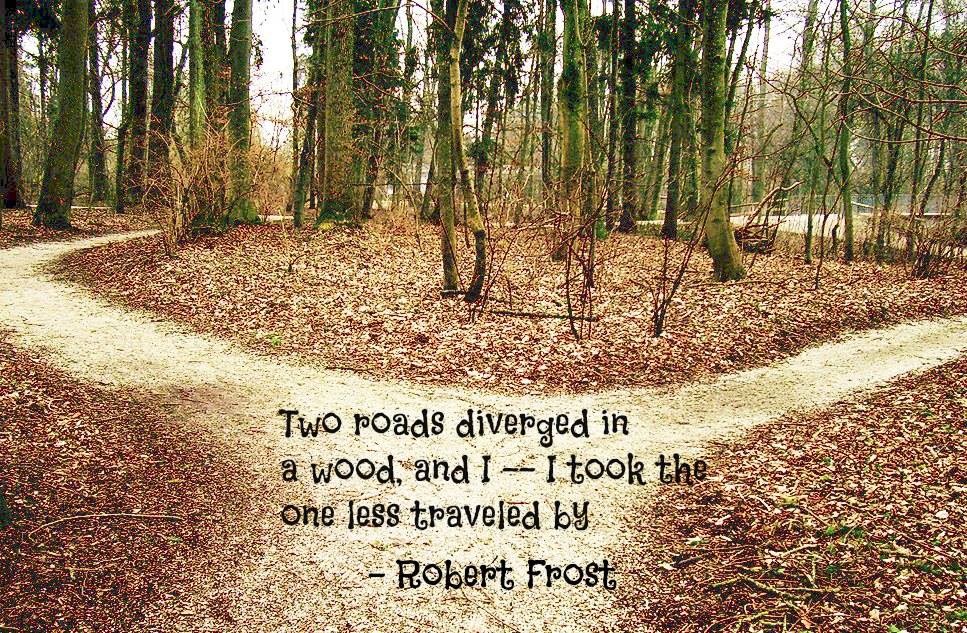 Two roads diverging in a wood